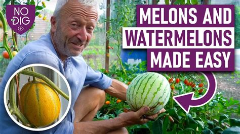 melontube porn|Touch My Melons